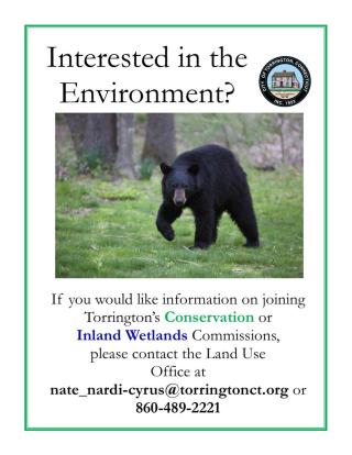 Black bear on recruitment flyer